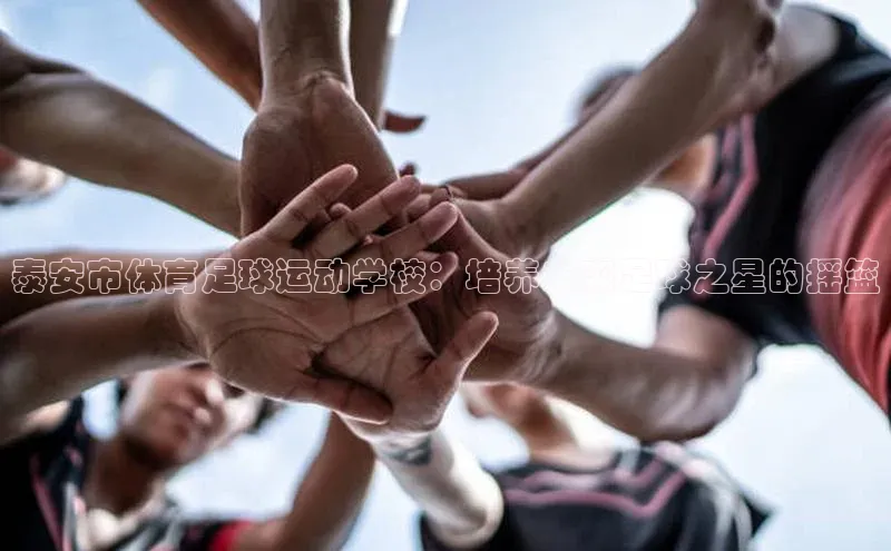 欧陆娱乐平台登录网易泰安市体育足球运动学校：培养未来足球之星的摇篮