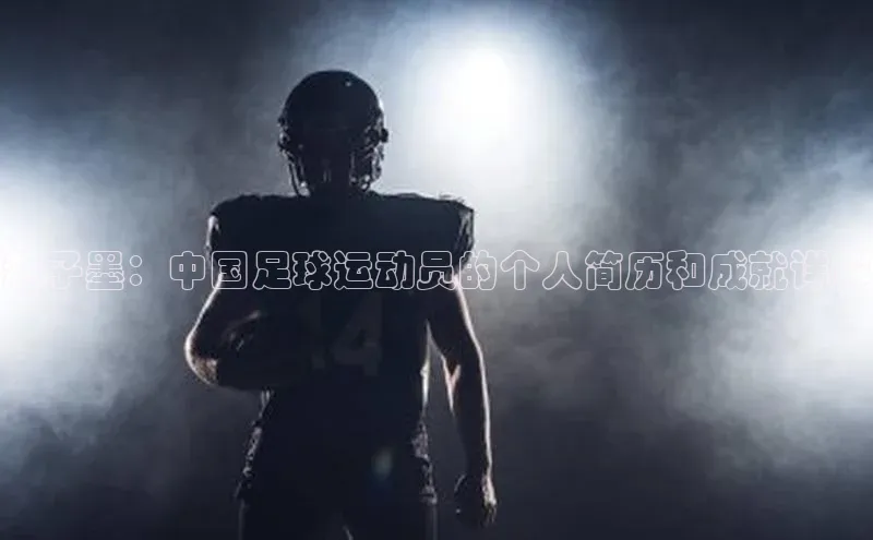 欧陆注册登录入口2024百度人工翻译赵子墨：中国足球运动员的个人简历和成就详解