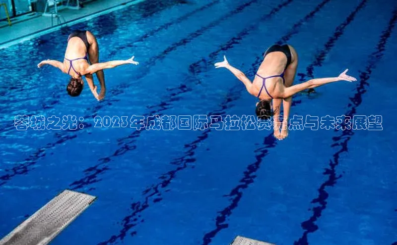 欧陆注册官方如流蓉城之光：2023年成都国际马拉松赛亮点与未来展望