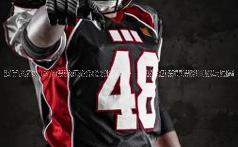 欧陆娱乐app下载安装百度翻译App辽宁风采：区内精英汇聚的激烈角逐——区级运动赛事精彩回顾与展望