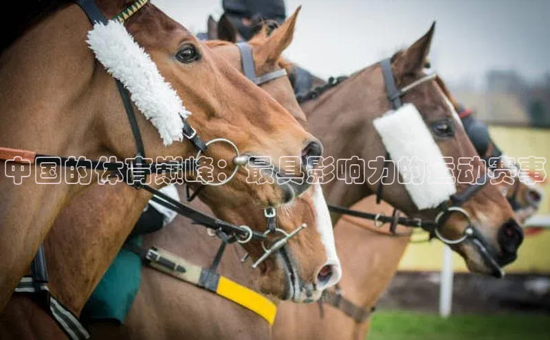 欧陆娱乐app下载安装小度商城中国的体育巅峰：最具影响力的运动赛事