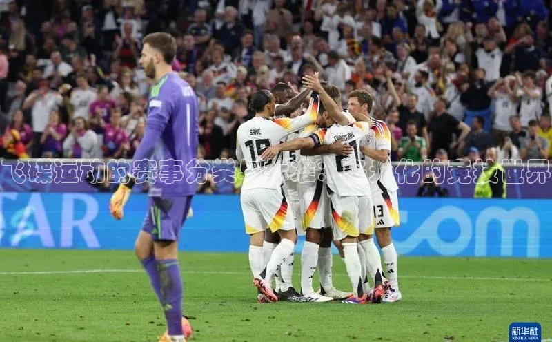 飞碟运动的赛事分类与标准：多元化的竞技世界