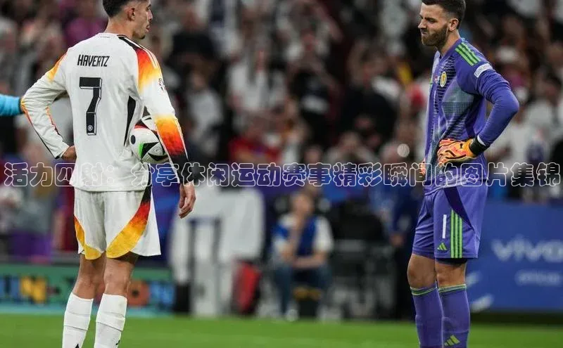 活力四射：分享休闲运动赛事精彩瞬间的图片集锦