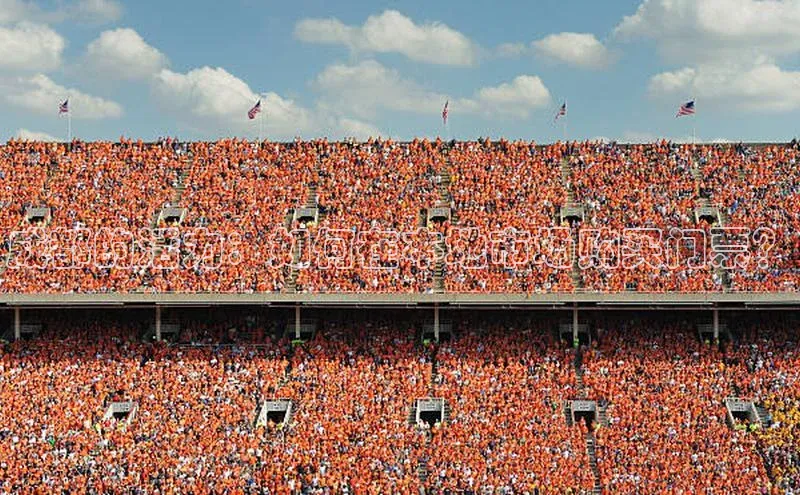 成都的活力：如何在本地市场购买门票？