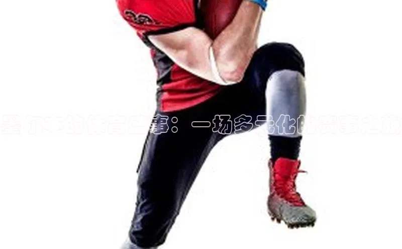 墨尔本的体育盛事：一场多元化的赛事之旅