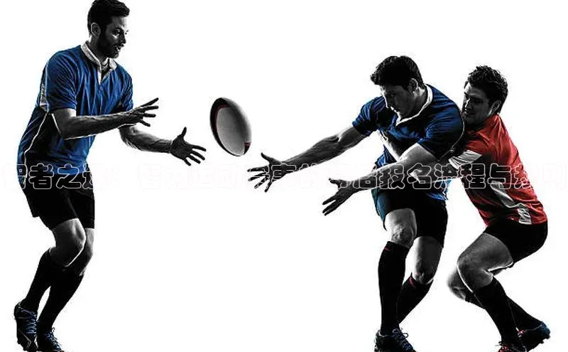 智者之选：智力运动赛事的幕后报名流程与规则