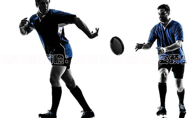 精彩赛事前瞻：即将到来的运动盛宴预告