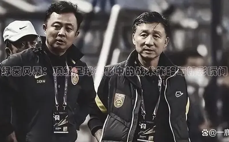 绿茵风暴：顶级足球赛事中的战术策略与精彩瞬间