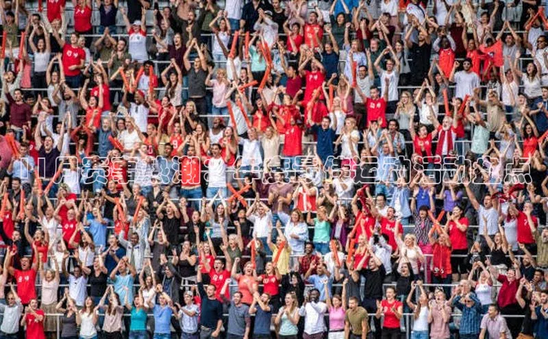 11月赛事热潮：年度最佳运动活动盘点