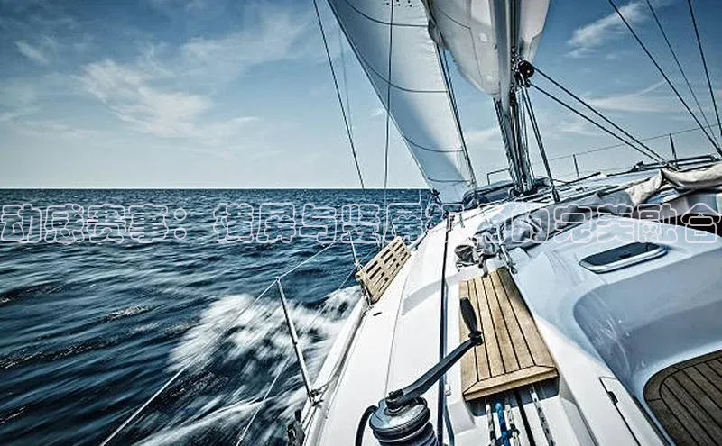 动感赛事：横屏与竖屏视角的完美融合