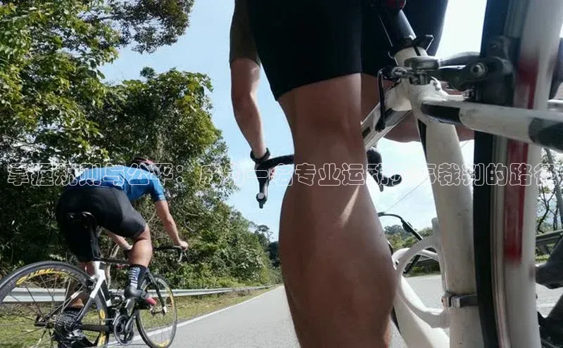 掌握规则与公平：成为一名专业运动赛事裁判的路径