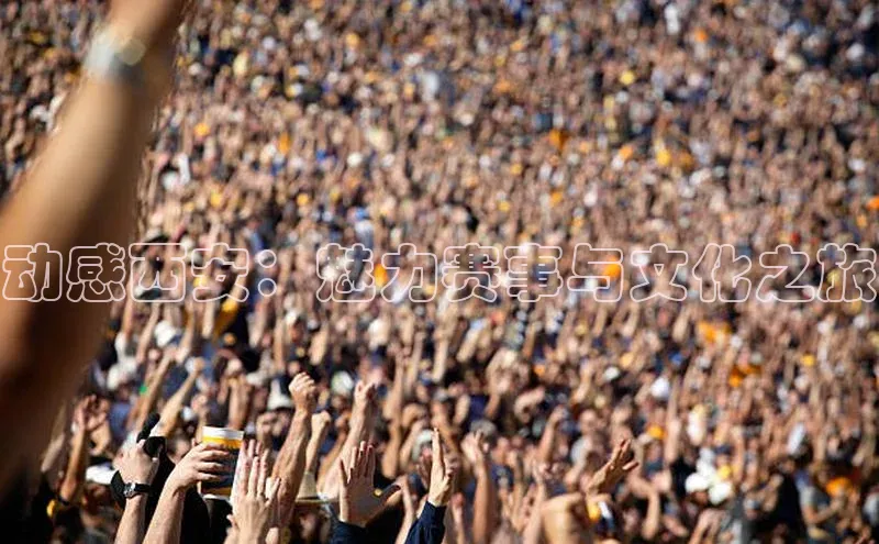 欧陆娱乐登录入口官网