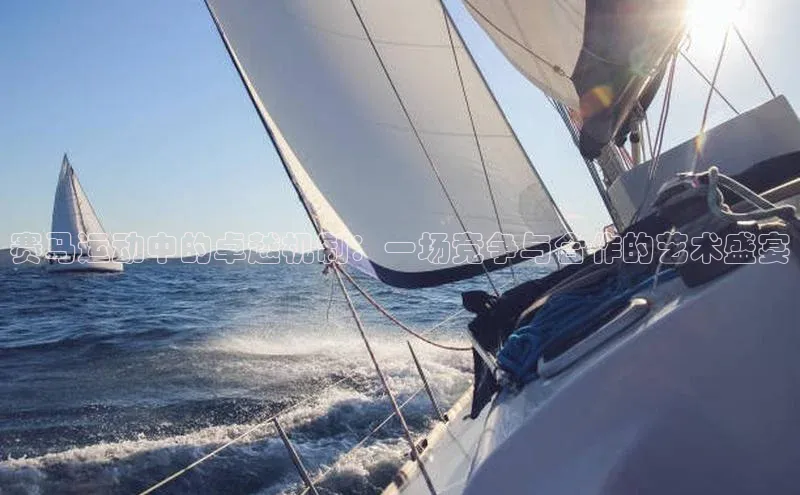 赛马运动中的卓越机制：一场竞争与合作的艺术盛宴